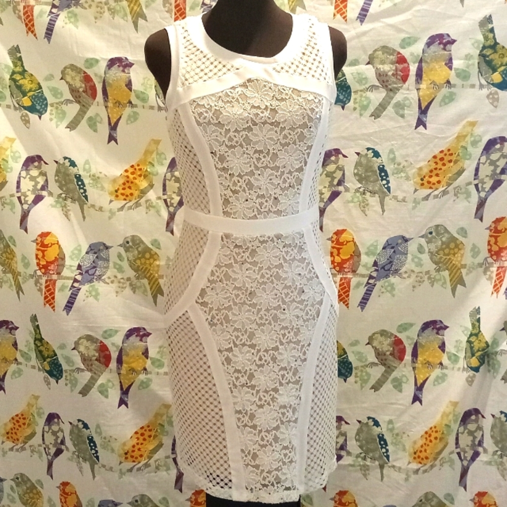 Cardalate Dress (QR)